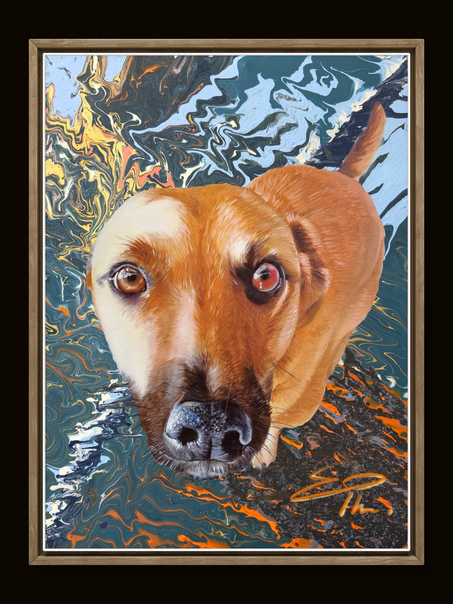 Pet portrait — Tia